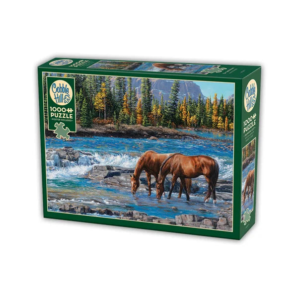 On the Rocks 1000 Piece Jigsaw Puzzle By Cobble Hill - Puzazzled