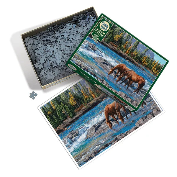 On the Rocks 1000 Piece Jigsaw Puzzle By Cobble Hill - Puzazzled