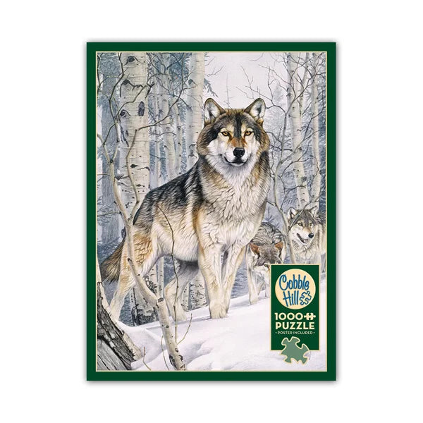 Second Glance 1000 Piece Jigsaw Puzzle By Cobble Hill - Puzazzled