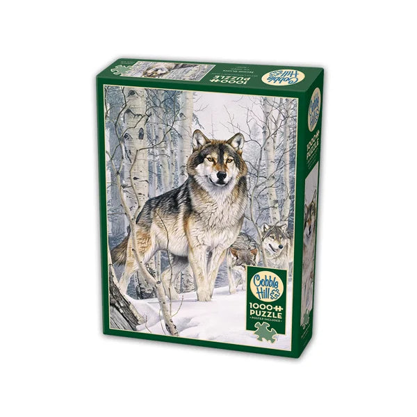 Second Glance 1000 Piece Jigsaw Puzzle By Cobble Hill - Puzazzled