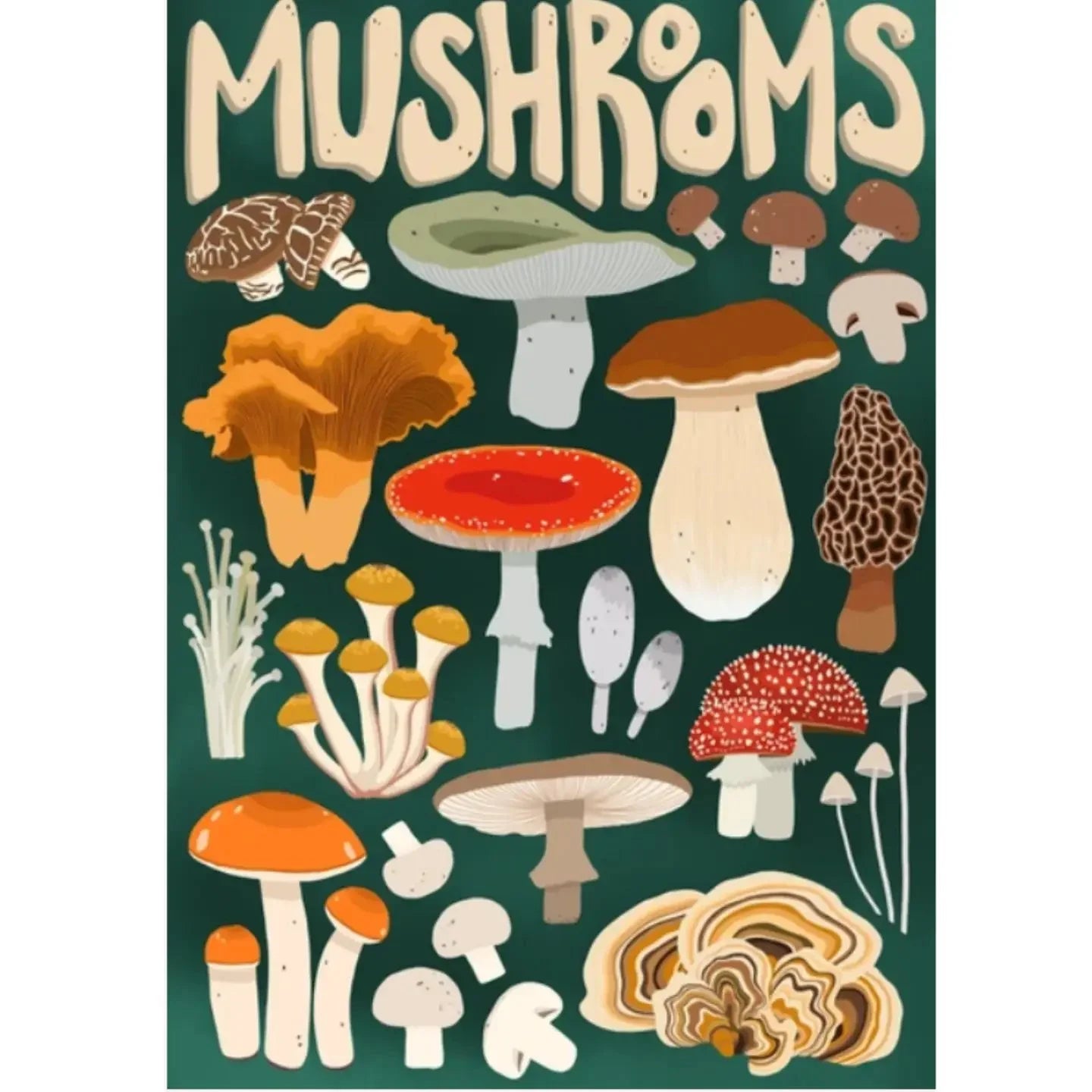 Mushroom Forager 1000 Piece Puzzle by Villager Puzzles