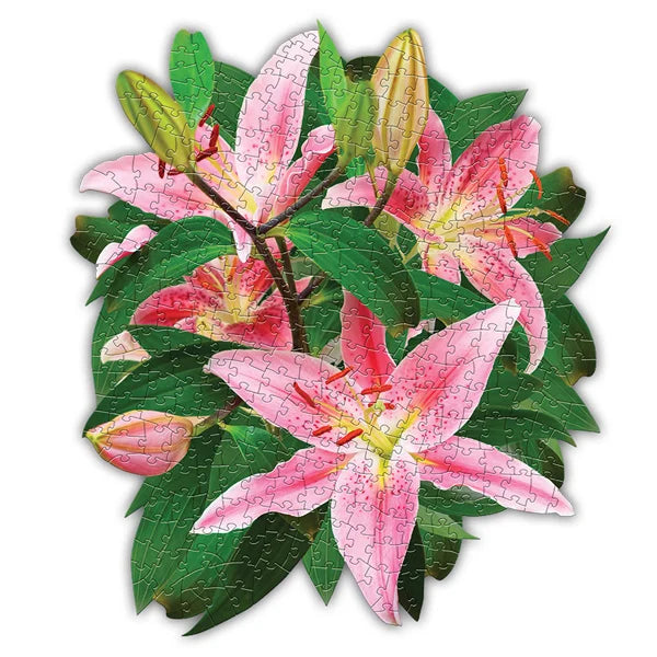 I AM Lily - 350 Piece Jigsaw Puzzle by Madd Capp Games - Puzazzled