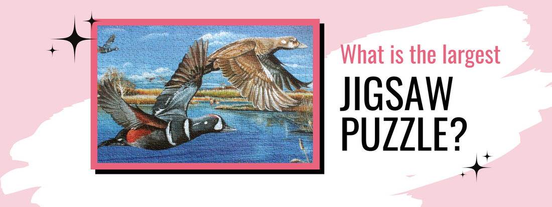 What is the Largest Jigsaw Puzzle Sold?