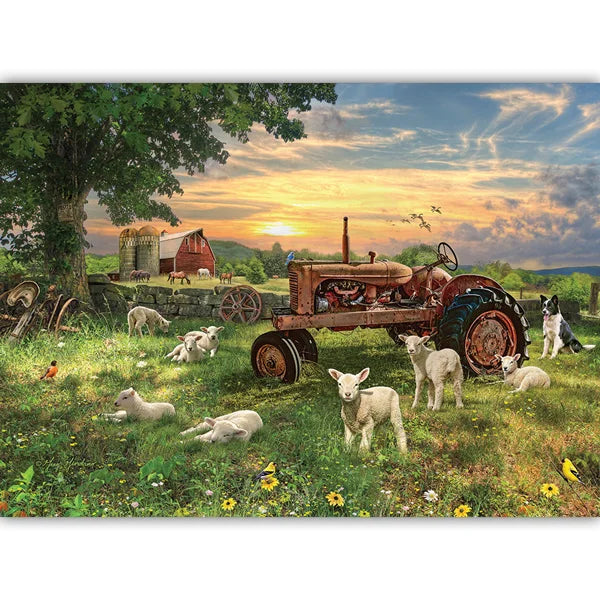 Field at Sunrise 1000 Piece Jigsaw Puzzle By Cobble Hill - Puzazzled