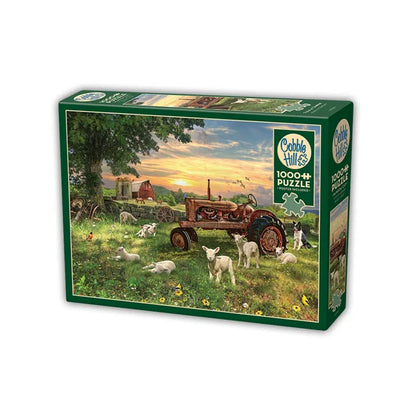 Field at Sunrise 1000 Piece Jigsaw Puzzle By Cobble Hill - Puzazzled