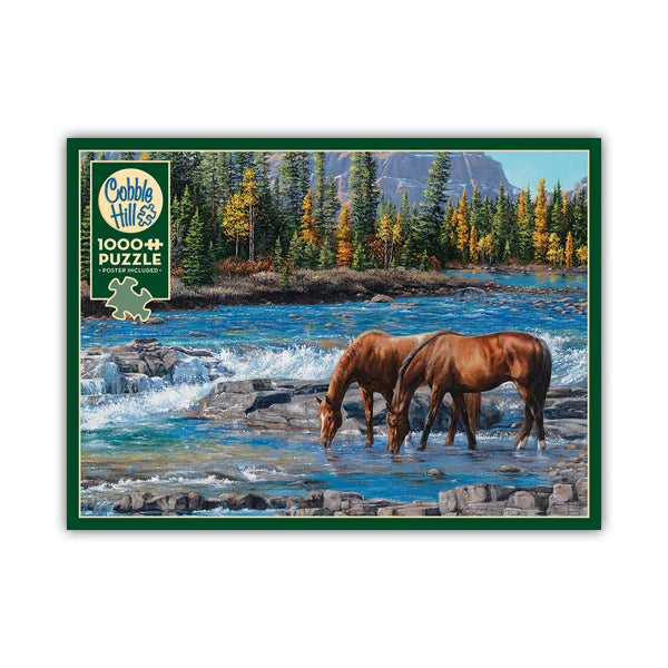 Front view of the 'On the Rocks' jigsaw puzzle box by Cobble Hill Puzzles