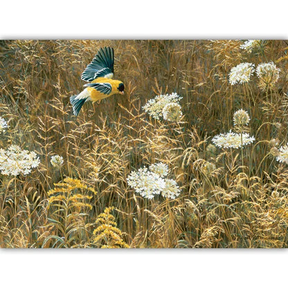 Queen Anne's Lace and American Goldfinch 500 Piece Jigsaw Puzzle By Cobble Hill - Puzazzled