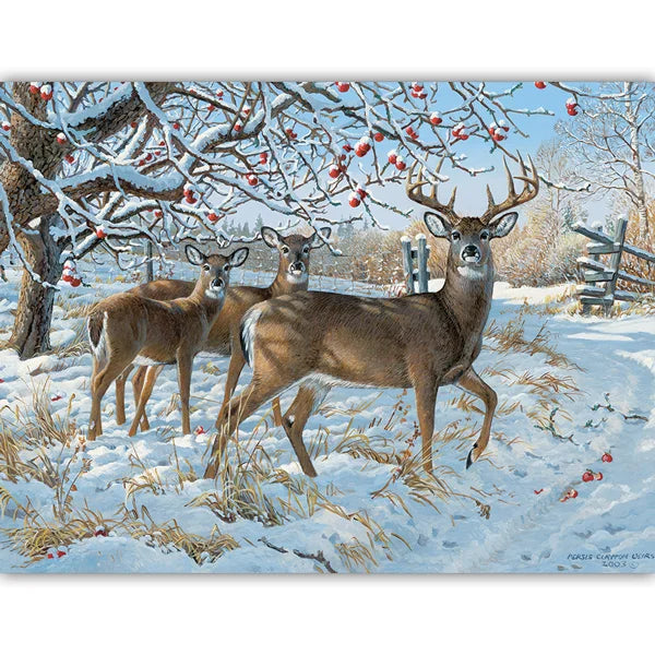 Winter Deer 500 Piece Jigsaw Puzzle By Cobble Hill - Puzazzled