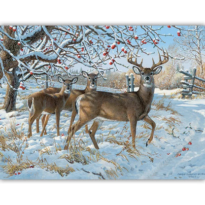 Winter Deer 500 Piece Jigsaw Puzzle By Cobble Hill - Puzazzled