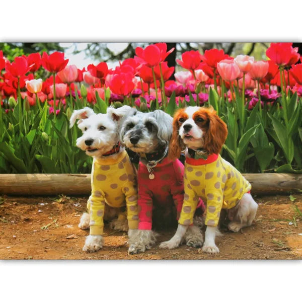 Complete image of the 'Best Friends' jigsaw puzzle by Playful Pastimes