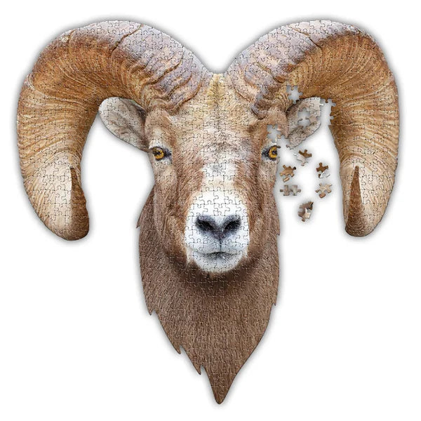 Complete image of the 'I AM Ram' jigsaw puzzle by Madd Capp Puzzles